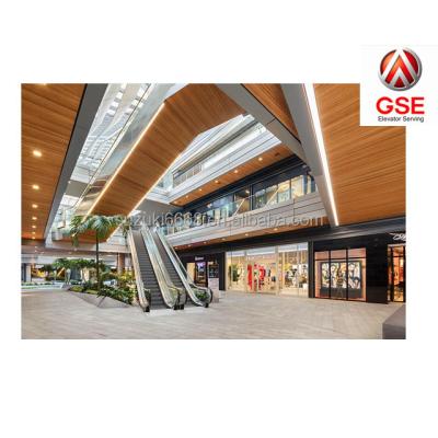 China Modern Escalator CE ISO Approved Home Escalator Safety Shopping Mall 800mm 30 And 35 Degree Escalator Price for sale