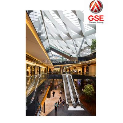 China Modern 1000mm Degree Escalator 30 And 35 Commercial Building Escalator Two Way Operation Parallel Escalator for sale