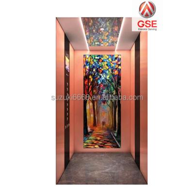 China Home Elevator China GSE Elevator Brand SUZUKI Mini Lift For House Elevator Elevator Price for sale