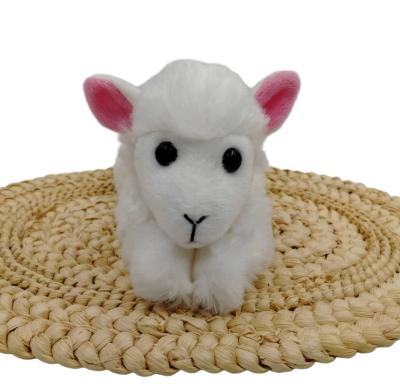 China Wholesale Custom Cute Soft Plush Toy Amazon OEM/ODM Laydown Beanie Lamb 8.5 Inch for sale