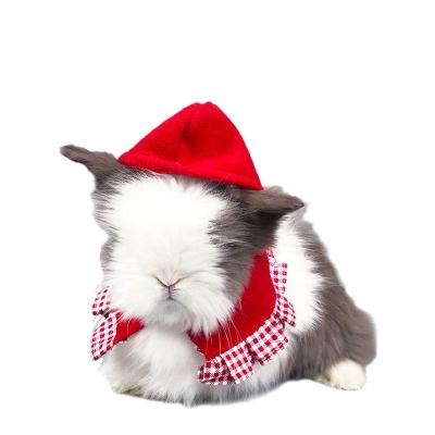 China DETACHED Bunny Christmas Clothes Pet Leash Rabbit Accessories Pet Rabbit Clothes for sale