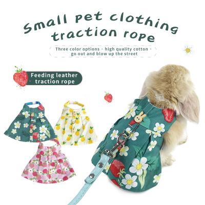 China DETACHED pet rabbit supplies pet rabbit clothes pet leash rabbit accessories. for sale