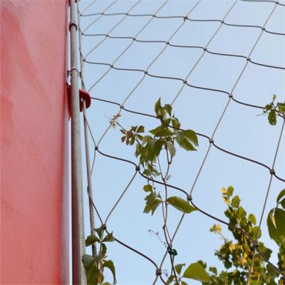 China Stainless Steel Cable Mesh As Plant Climbing for sale