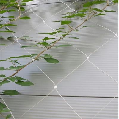 China Stainless Steel Wire Rope Mesh Net As Architecture Plant Trellis for sale