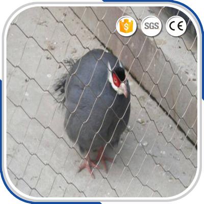 China Small bird 1.2 mm with 30 mm mesh eye size stainless steel wire rope aviary netting for sale