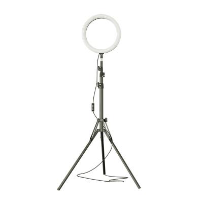 China 8 Inch PORTABLE ABS Material And Bright Ring Light With 2.1 Meter Tripod 20cm Photo Light With Phone Holder Led Selfie Ring Light For RK43 Living for sale