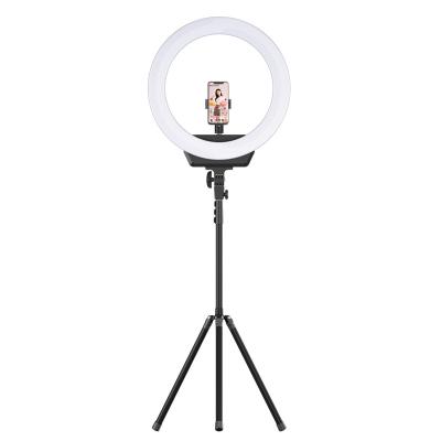 China Selfie Led Good Light With Tripod Stand And Bag For Selfie Vivid Vapor 42cm 16 Inch All In One Photographic Lighting RK-55 for sale