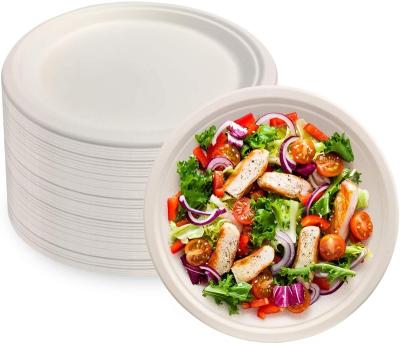 China Waterproof Disposable Biodegradable Sugar Cane Pulp Dish 9 Inch Bagasse Dish Eco-friendly Fruit Delivery Salad Bowl for sale