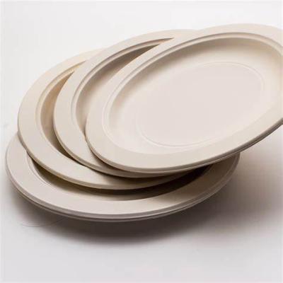 China Waterproof 7 Inch Platos Disposable Biodegradable Packaging Laminated Paper Fruit Tray Sugarcane Bagasse Plate for sale