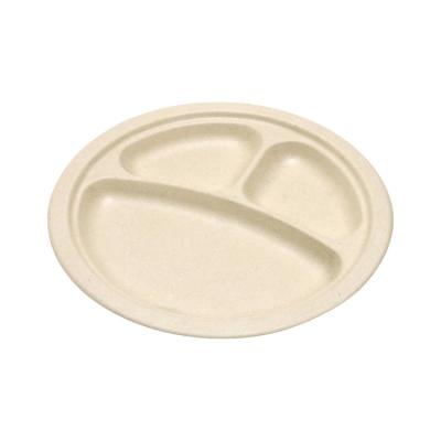 China Waterproof 2 Compartments 9 Inch Biodegradable Disposable Sugarcane Bagasse Food Container Dish Tray for sale