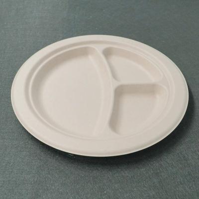 China Waterproof 2 Inch Platos Disposable 9 Compartments Biodegradable Packaging Laminated Paper Fruit Tray Sugarcane Bagasse Plate for sale