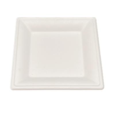 China 8 Inch Flamingo Ice Cream Square Waterproof Durable Bagasse Eco-Friendly Biodegradable Hard Paper Plate for sale