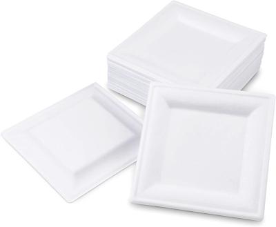 China Waterproof 10 Inch Square Dish Home Compostable Sugarcane Plates Disposable Eco-Friendly Sugarcane Plates Biodegradable Sugarcane Bassage for sale