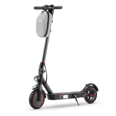 China Isinwheel Shenzhen Electric Scooter Manufacturers 300w 350w Fastest And Powerful Electric Scooter Unisex for sale