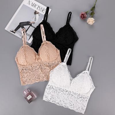 China QUICK DRY Lace Bralettes For Women Bralette Padded Lace Bandeau Bra for sale