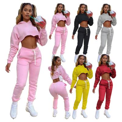 China Best Design 2021 Casual Sports Breathable Suits Solid Color Ladies Hoodie Set Women Sets Two Piece For Fall And Winter for sale