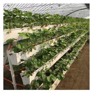 China High Rigidity Greenhouse Manufacturing PVC NFT Channel System Channel Pipe Hydroponics NFT Growing System for sale