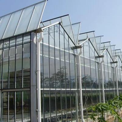 China Multi Span Greenhouse Polycarbonate Sheet Polycarbonate Sheet Greenhouse Plant Sheet Factory Price Flowers Fruits Venlo PC Sheet For Agriculture for sale