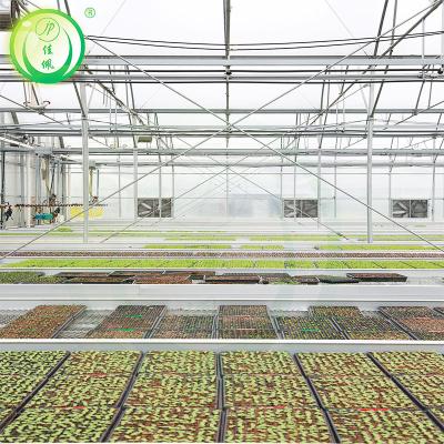 China Stable Structure Easily Assembled Complex Reinforced Plastic Greenhouse For Agricultural for sale