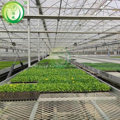 China High Quality Agriculture Irrigation System Greenhouse Rolling Benches For Greenhouse Growing System for sale