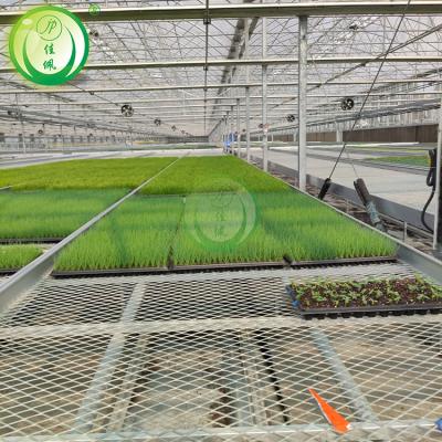 China High Quality Agriculture Hydroponics Greenhouse Rolling Benches For Greenhouse Growing System for sale