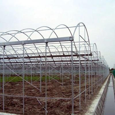 China Venlo multi span glass venlo greenhouse in-solar greenhouses for sale for sale