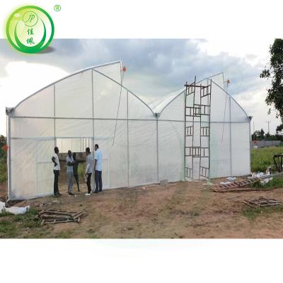 China PE Gutter Connected Greenhouse for sale