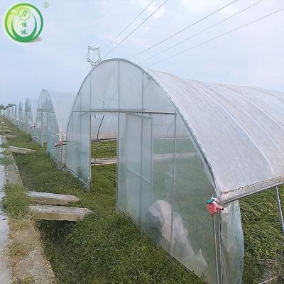 China We are manufacturer Vegetable Greenhouses for sale for sale