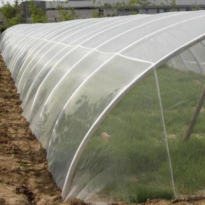 China Single span commercial polythene tunnel serra greenhosue small single span polythene tunnel for vegetables greenhouse for sale for sale