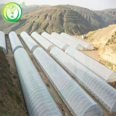 China Low cost agricultural tunnel greenhosue tunnel planting vegetable greenhouse for sale