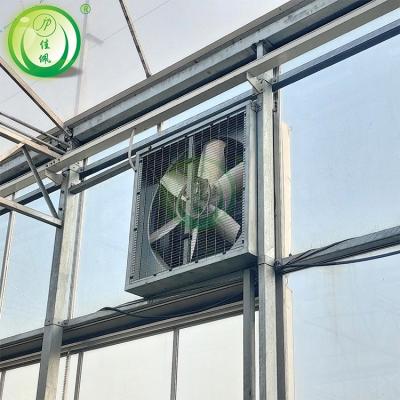 China Good Quality Greenhouse Painted Circulation Fanbu for sale