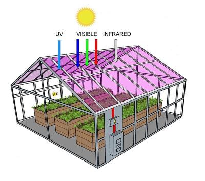 China Greenhouse Stable Solar Energy Hydroponic Netting Structure Solar Heating For Greenhouse for sale