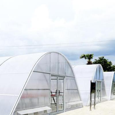 China Stable Structure Multi-span Agricultural Greenhouses Commercial Modern Solar Greenhouse Electric Power For Sale Agriculture Climbing Chian for sale