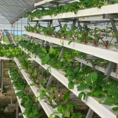 China Nft Stable Economical Hydroponic Gutter Greenhouse Growing Structure System for sale