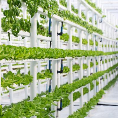 China Flexible Automated Mobile Hydroponic Farm Irrigation System Greenhouse Aeroponic Vertical Grow System for sale