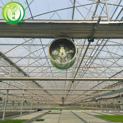 China Greenhouse Equipment Good Quality Circulation Fan Low Cost Painted Circulation Fan For Sale Cooling System With Greenhouse for sale