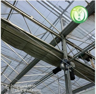 China Greenhouse Full Wind Resistant Multispan Agricultural Greenhouse Blackout Shade System for sale