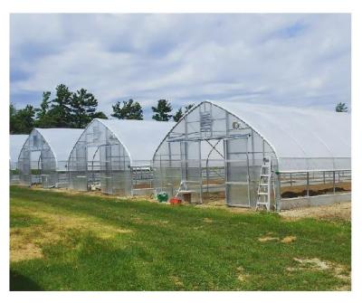 China PE Manufacturer Commercial Automatic Shading System Agricultural Greenhouse For Sale for sale