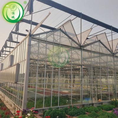 China Stable Structure Easily Assembled Smart Control High End Glass Greenhouse Manufacture Glass Greenhouses for sale