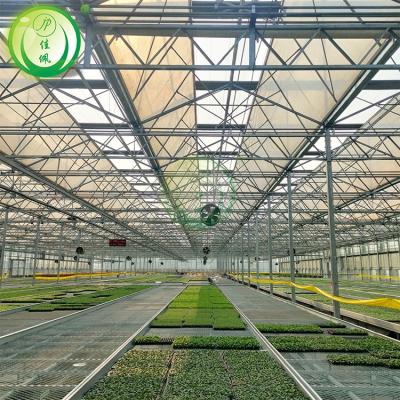 China Stable Structure Easily Assembled Easy To Assemble Intelligent Multi-span Agricultural Greenhouses for sale