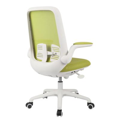 China New Design Workstation Chair Full (Height) Ergoup Mesh Office Chair Adjustable Chair Light Green Adjustable Armrest for sale