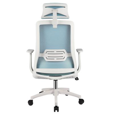 China Promotional Ergoup Office Ergonomic Order Adjustable Online Desk Mount Chair for sale