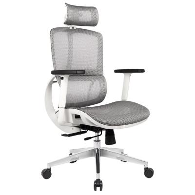 China (Size) Adjustable Ergonomic Armrest Mesh Office Chairs Lifting Backward Locking Comfortable Computer Chair from China for sale