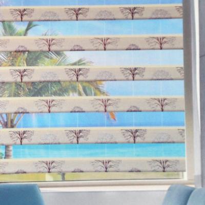 China Minimalist international first-class quality automatic motorized electric motor shutters indoor window shading zebra roller blinds for sale