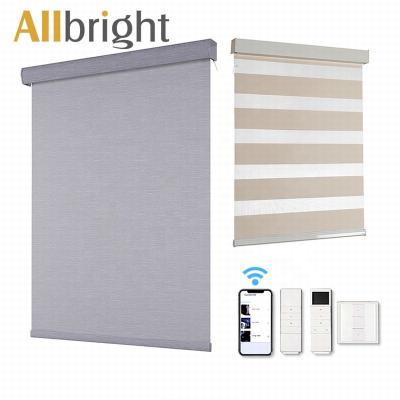 China CLASSIC Modern Electric Remote Control Motorized Blackout Windproof Smart Window Motorized Roller Zebra Blinds for sale