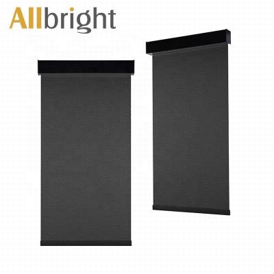 China Modern 100% polyester transparent light filtering curtian black roller blinds for living room for sale