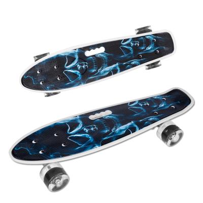 China Youth Mini Cruiser New Design Customized Discolored 22 Inch Skateboard Fish Colorful Plastic Skateboard for sale