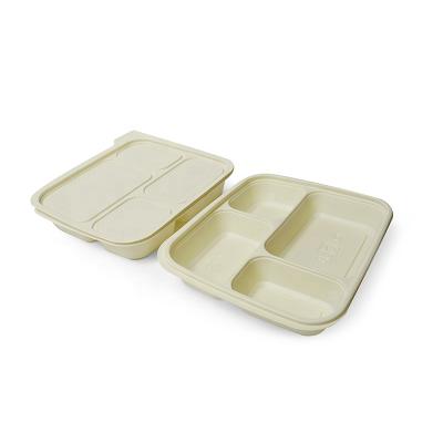 China Nature Products Eco-Friendly Collapsible Cornstarch Food Container Eco-Friendly Folding Biodegradable Bowls With Lid for sale