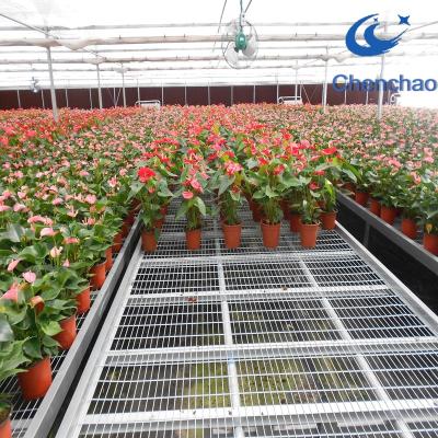 China Agriculture planting 50m length 8m width plastic film single span greenhouse greenhouse benches for sale for sale