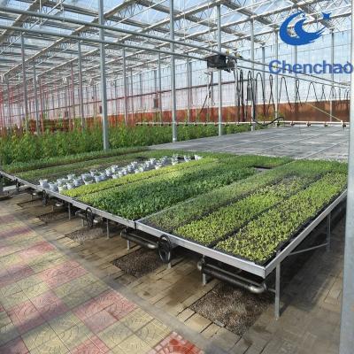 China Econo Galvanized Welded Wire Mesh Panel Galvanized Greenhouse Bench Rolling Tops for sale